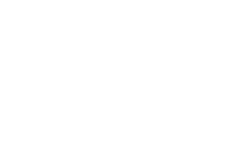 Briggs Stratton Logo