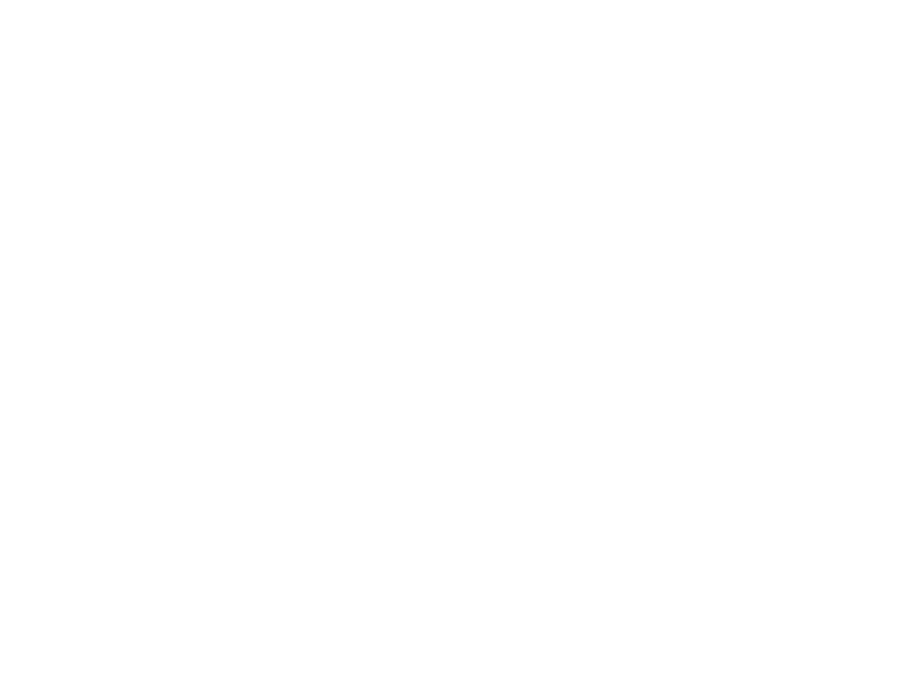 pwc Logo